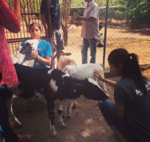 anushka-spends-day-for-animal-aid-2